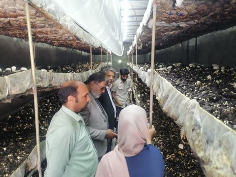 ماموریت یک روزه مدیرکل کمیته‌امداد خراسان‌جنوبی به شهرستان درمیان